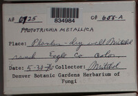 Image Associated With the Occurence